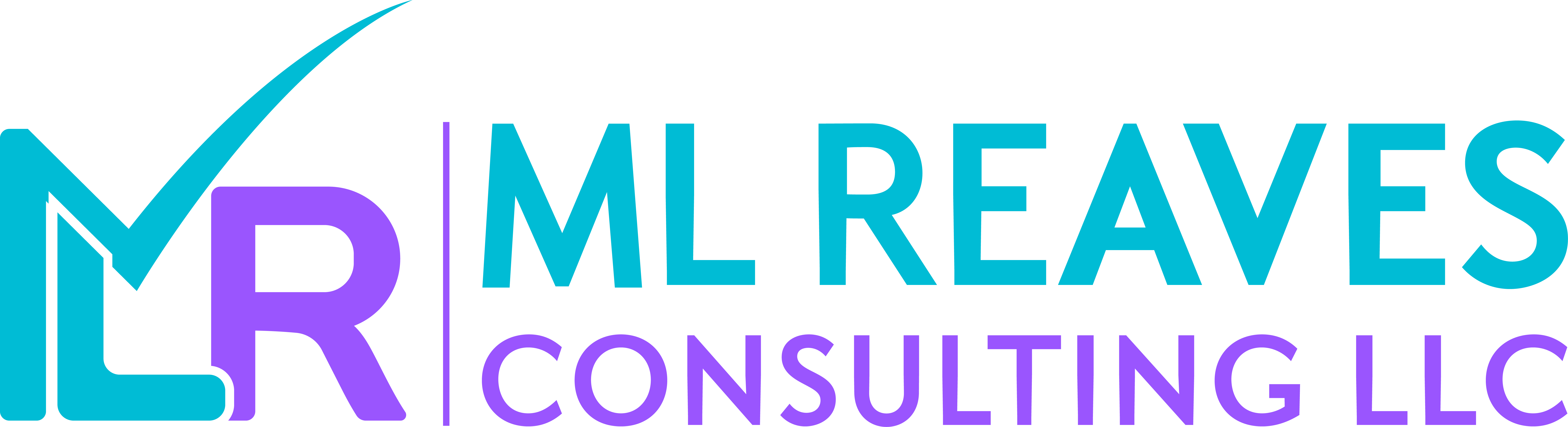 ML Reaves Consulting LLC